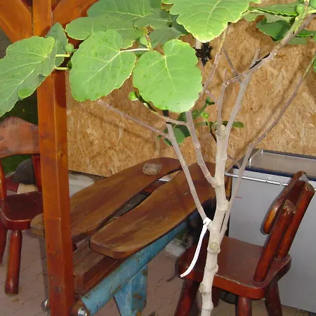 Сasa de vacaciones Karavan Štúrovo